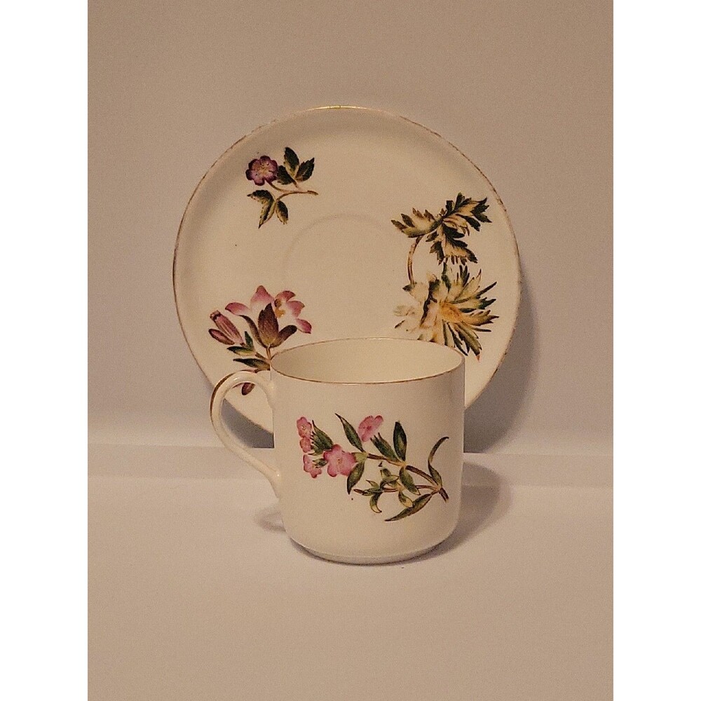 Wedgwood China Demitasse cup and saucer Spring Floral Flowers